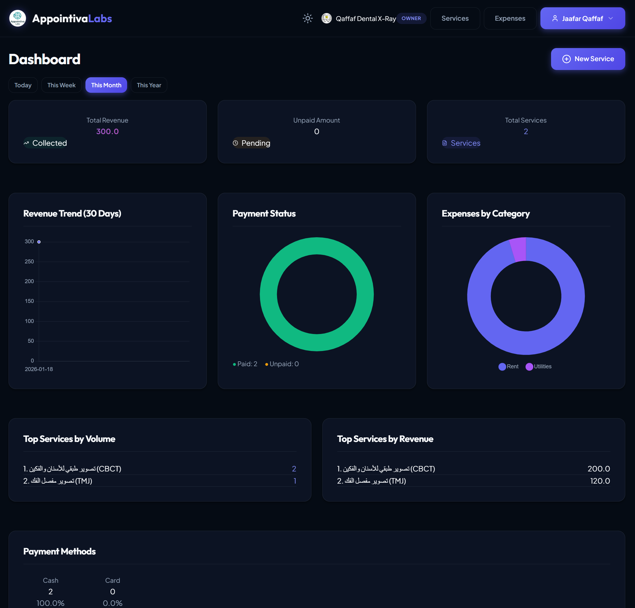 Financial Dashboard Interface